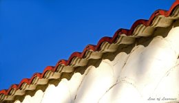 Roof Tiles LOL.jpg