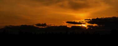 710_2162 (1000x397).jpg