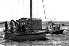 LHP 80-400VR 6 bw.jpg