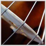 Double bass strings.jpg