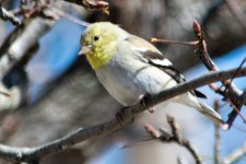 DSC_8023.JPG