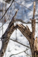 DSC_8041.JPG