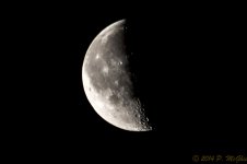 DSC_8015.JPG