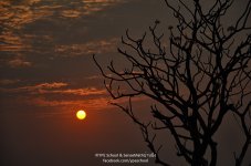 sonnenuntergang.jpg