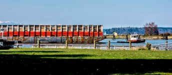 710_2285 (1000x437).jpg