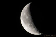 DSC_8046.jpg