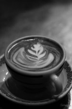 Day84-4.jpg