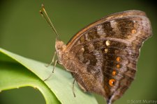 SHM_2179.jpg