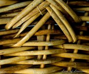 Basket Weave 2 LOL.jpg