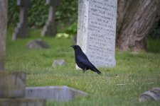 DSC_7052.jpg