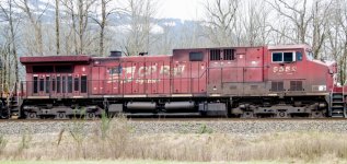DSC_1022 (1000x474).jpg