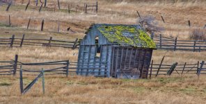 600_7216 (1000x508).jpg