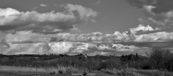DSC_7069 (1000x443).jpg