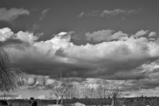 DSC_7072 (1000x665).jpg