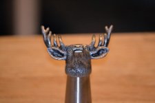 DSC_2503.jpg