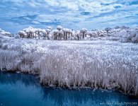 20140324-IR0_9945-Edit-2.jpg