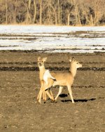 DSC_1861.jpg