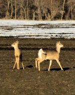 DSC_1863.jpg