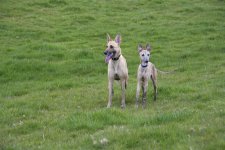 DSC_7152.jpg