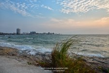 seabeach-1.jpg