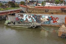 DSC_6406.jpg