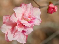 DSC_5681.jpg