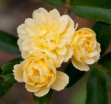 DSC_5700.jpg