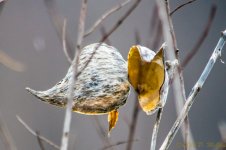 DSC_8154.jpg