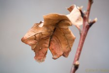 DSC_8169.jpg
