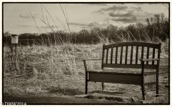 Rest Your Feet (1 of 1).jpg