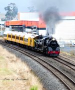 Steam Train 1 LOL.jpg