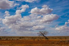 _DSC7517.jpg