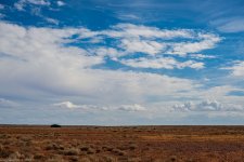 _DSC7521.jpg