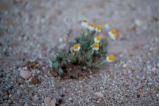 _DSC7533.jpg