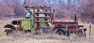 600_7302 (1000x462).jpg