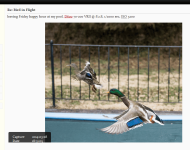 2014-03-29_074718.png