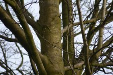 DSC_0018.jpg