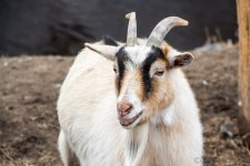 DSC_8191.jpg