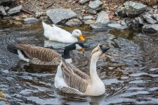 DSC_8192.jpg