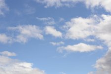 600_7445 (1000x668) (2).jpg