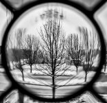 DSC_0057 (2).jpg