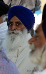 Punjab elder LOL.jpg