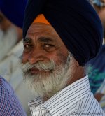 Punjabi Gentleman LOL.jpg
