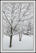 DSC_9791.jpg