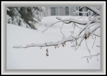 DSC_9787.jpg