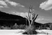 DSC_3743.jpg