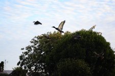 DSC_1861.jpg