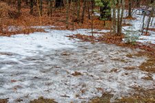 DSC_8193-Edit.jpg