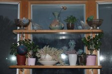 089 Window-140330_01.jpg