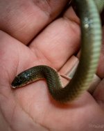 Day89-2.jpg